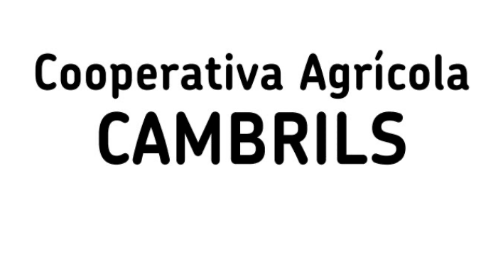 Buy Extra virgin olive oil online - Cooperativa Agrícola de Cambrils